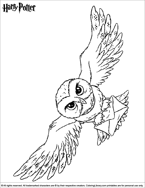 Harry Potter Hedwig Coloring Pages - Harry Potter color page - Coloring