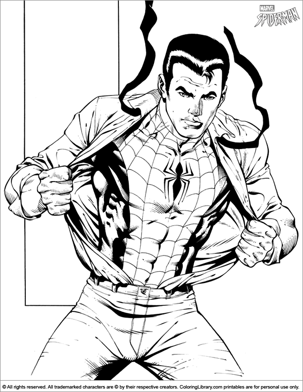 Spider Man colouring page