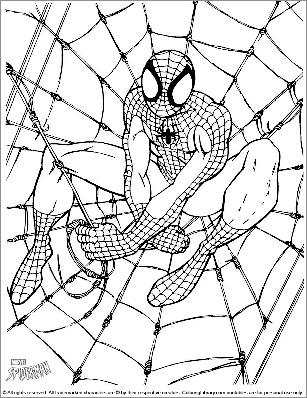 Spider Man coloring fun