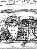 Harry Potter coloring