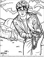 Harry Potter coloring