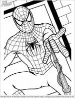 Spider Man coloring