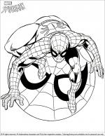 Spider Man coloring