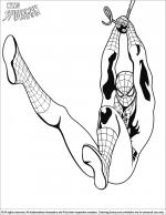 Spider Man coloring