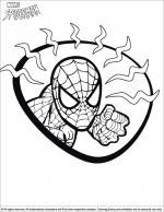 Spider Man coloring