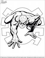 Spider Man coloring