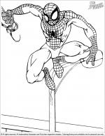 Spider Man coloring