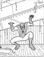 Spider Man coloring