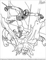 Spider Man coloring