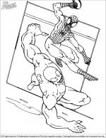 Spider Man coloring