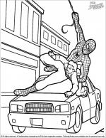 Spider Man coloring