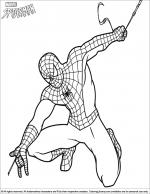 Spider Man coloring