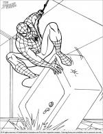 Spider Man coloring