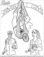 Spider Man coloring