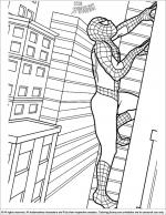 Spider Man coloring