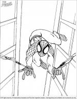 Spider Man coloring