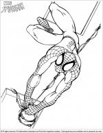 Spider Man coloring