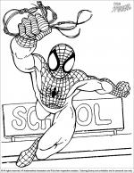 Spider Man coloring