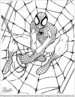 Spider Man coloring