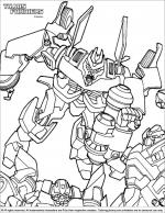 Transformers coloring